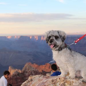 Meet your Posher, Moises